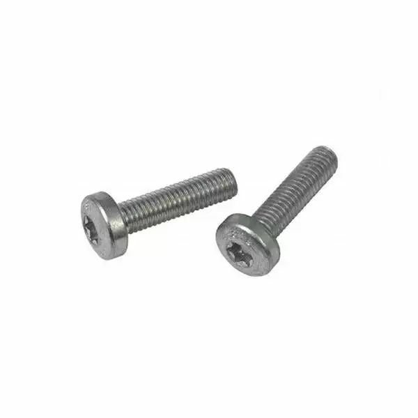 Lot De 2 Vis Pour Batterie De Cadre VAE BOSCH 1270016433 2 Lot De 2 Vis Pour Batterie De Cadre VAE BOSCH 1270016433 – Image 2