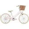 Vélo Hollandais CREME MINI MOLLY 20" Rose 2022