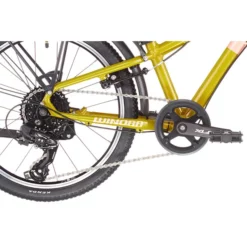 VTC WINORA CHICA 20" Rose/Or 2023 -France Vélo Soldes 2023 Winora Chica 20 Kinder gold pink5B600x6005D 5